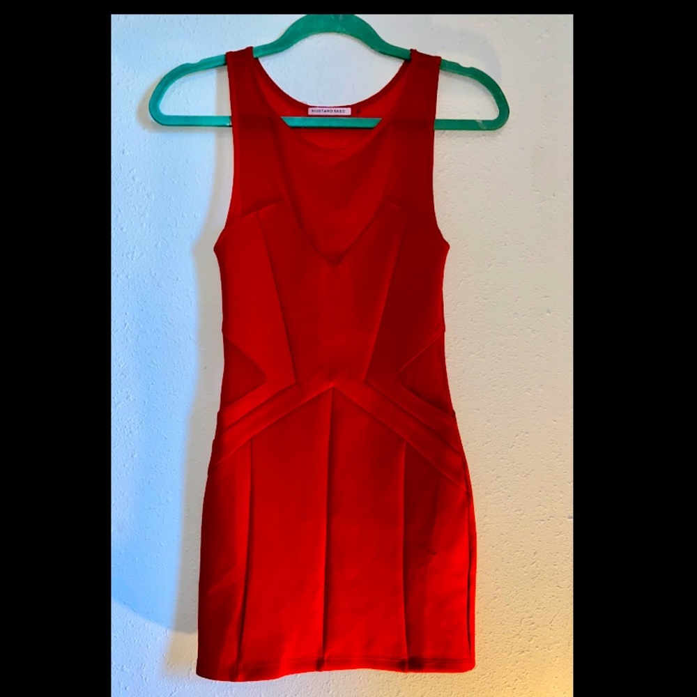 Red mesh dress